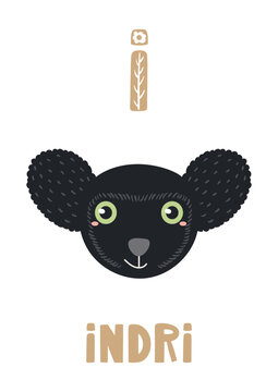 Cute indri lemur face, letter I, text, illustration isolated. ABC card, cartoon animal character. Kids English alphabet, preschool, school learning. Hand drawn flat vector clip art, design element
