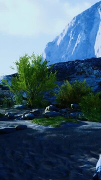 Plants and shrubs are seen among rocky ground in a mountainous location. Sunlight shines on the greenery, creating a bright setting during the day.