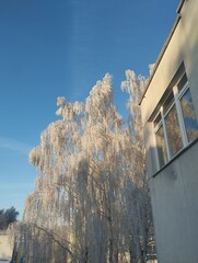 icicles on roof © Лейла Бруни