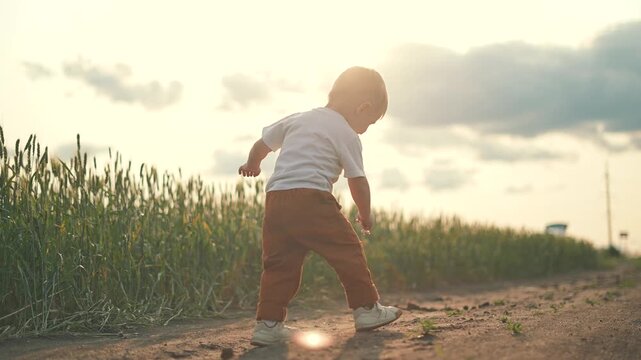 A cheerful boy, lively child, and joyful kid walks the sunny road, the bright path running beside the golden field in hot summer evening. The boy laughs, child swings arms, kid runs as road invites.