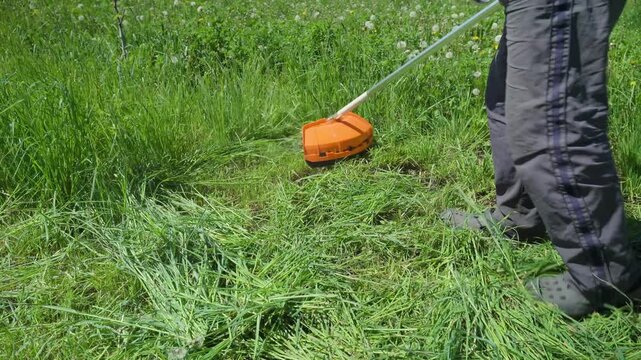 Person using a string trimmer to cut tall grass in a sunny field, showcasing the continuous action of lawn maintenance and landscaping