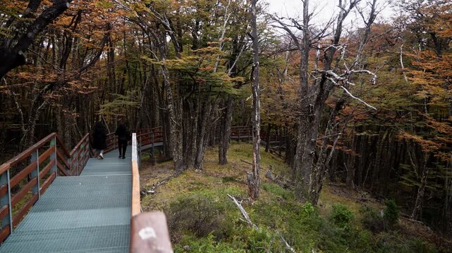Two Women Walking on Boardwalk in Perito Moreno National Park Forest