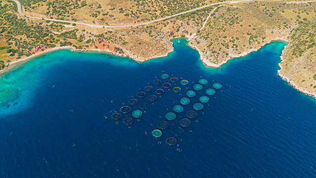 Fish farm with numerous circular cages floating in the vibrant blue mediterranean sea, showing aquaculture industry activity along the rugged greek coastline