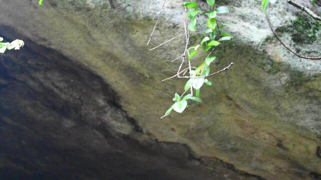 An Ancient Staircase and A Rock Cave at the Maligatenna (Maligathanna) Raja Maha Viharaya, Gampaha, Sri Lanka.