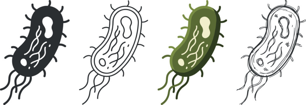 Set of four different styles of bacteria icons isolated on white background vector illustration on transparent background