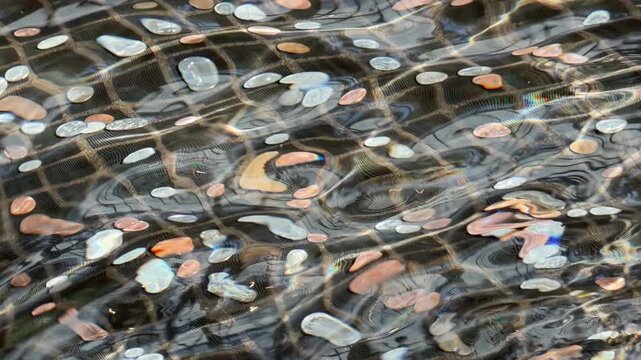 Wavering reflections on the constantly agitated surface of a conservatory pool with a scattering of bright American coins on the bottom. Dreamlike mesmerizing dance of light and motion in real time.