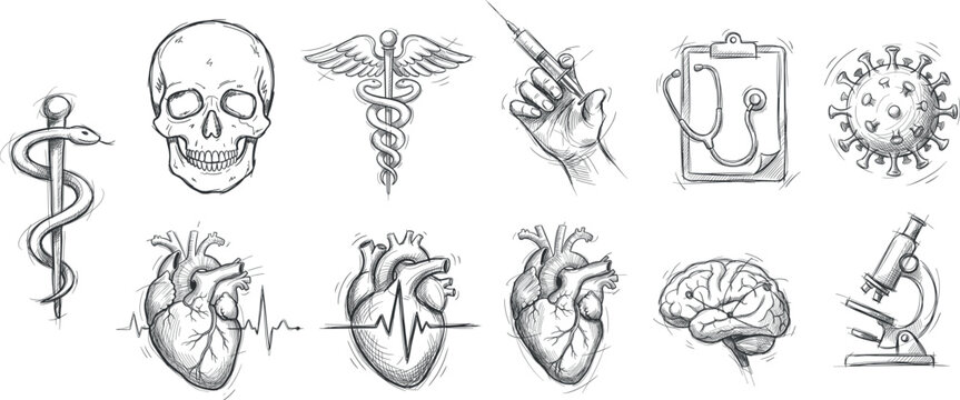 Set of medical and healthcare icons, hand drawn sketch style illustrations of human organs and medical equipment vector illustration on transparent background