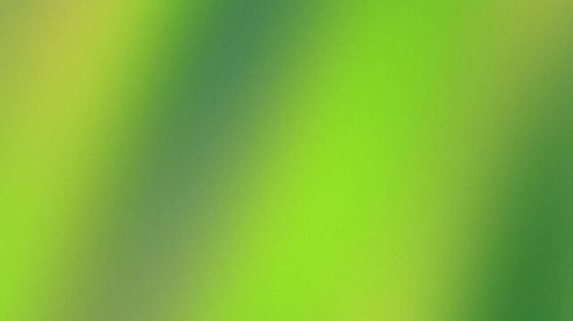 Abstract lime gradient background blending smoothly through sunlit spring foliage with cinematic film grain texture