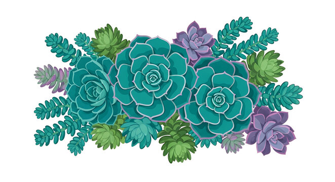 Beautiful succulent plants arrangement