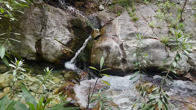 Wild mountain river stream rushing through colorful rocky canyon gorge