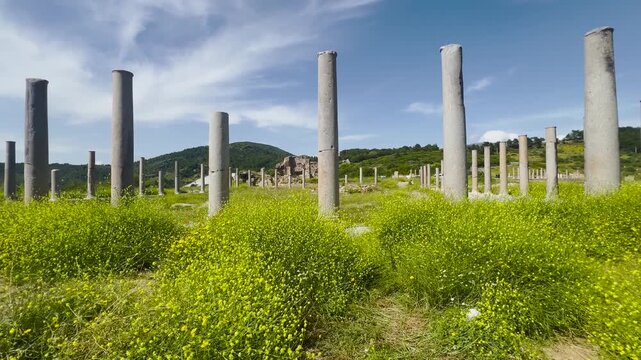 Ancient Roman stone columns ruins of Antiochia ad Cragum archaeological site in Turkey against blue sky