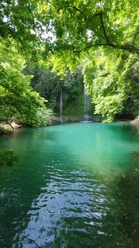 Waterfall and pool in lush deserted forest
