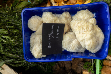 Fresh white lion's mane mushrooms in a blue plastic box with a price tag. © elenarostunova