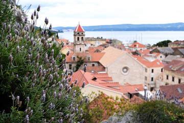 Obraz premium Close-up of fragrant lavender blossoms framing a beautiful Mediterranean coastal town with red tiled roofs and a calm sea beyond