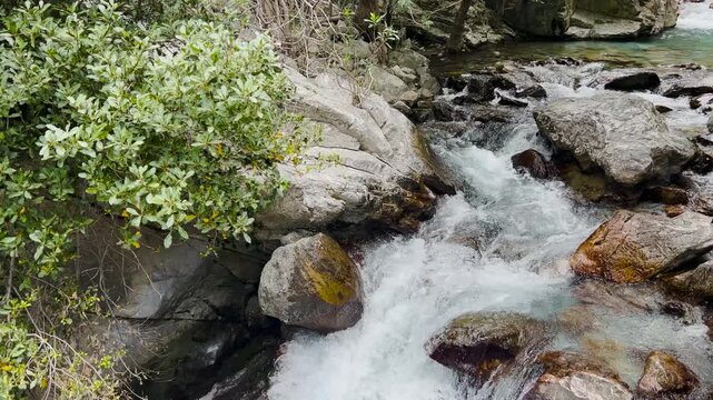 Wild mountain river stream rushing through colorful rocky canyon gorge