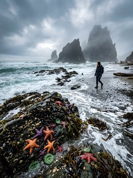 Solitary hiker on a moody oregon beach with tide pools and sea stacks marine life shoreline starfish crashing overcast vacation