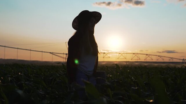 Farmer silhouette stands in crop field at sunset. Woman in hat surveys farmland with irrigation pivot behind her. Rural agriculture field glows at dusk. Farmer overlooks growing crop at golden hour.
