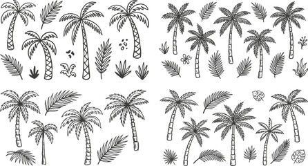 Fototapeta premium Hand drawn tropical palm tree and leaf sketch set. Black and white outline exotic botanical island nature illustrations.