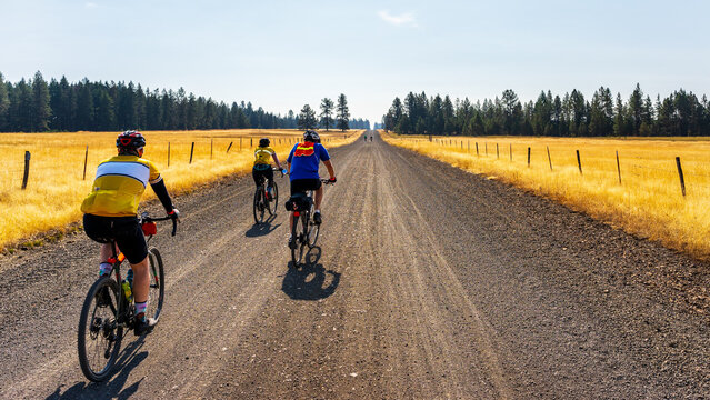 Cyclists On A Gravel Road