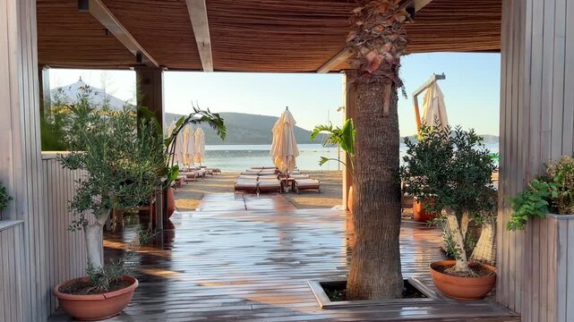 A view from a shaded wooden beach pavilion in Bitez, Bodrum, looking out at potted olive trees, a palm trunk, and neat rows of sun loungers with umbrellas on a quiet, sunlit Mediterranean beach.