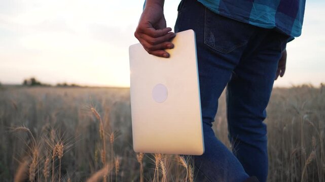 Person holding laptop in wheat field at sunset. Man stands in rural landscape with computer. Remote work outdoors. Digital nomad in agricultural setting. Technology meets nature in golden hour light.