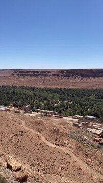 high angle pan shot showing the massive green palm grove oasis of the Ziz Valley nestled inside a dramatic rocky canyon with traditional mud brick houses under a clear blue sky in Morocco