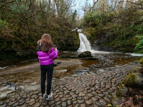 Woman in purple jacket stands on cobblestone path. She gazes at waterfall cascading over mossy rocks. Tall trees frame the scene with autumnal foliage. Tourmakeady Waterfall, Ireland. Irish scenery