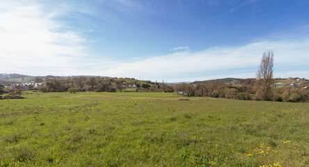 Fototapeta premium Wide Rural Meadow Landscape With Blue Sky and Distant Hills