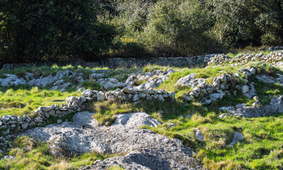Fototapeta premium Rocky Grassland with Dry Stone Walls and Woodland Edge