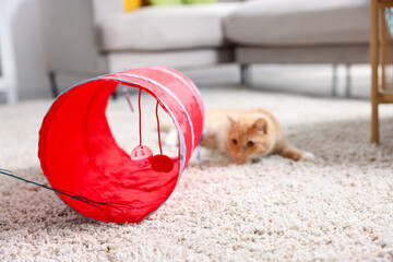 Fototapeta premium Cute cat resting on carpet and toy tunnel at home, selective focus