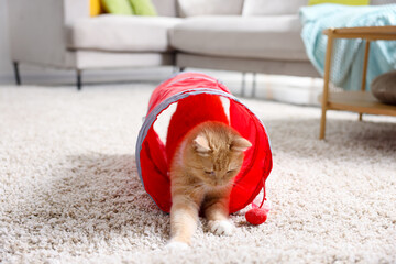 Fototapeta premium Cute cat in toy tunnel on carpet at home