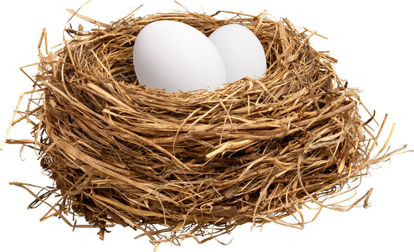 Bird nest with two white eggs side view isolated on transparent background