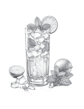 limonada vectorizada e ilustrada, limonada con alcohol, limonada con menta, ilustracion para publicidad 