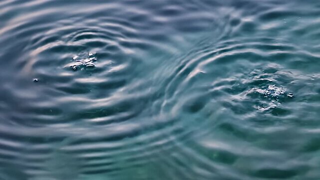 Water drop impact creating concentric ripples on fluid surface