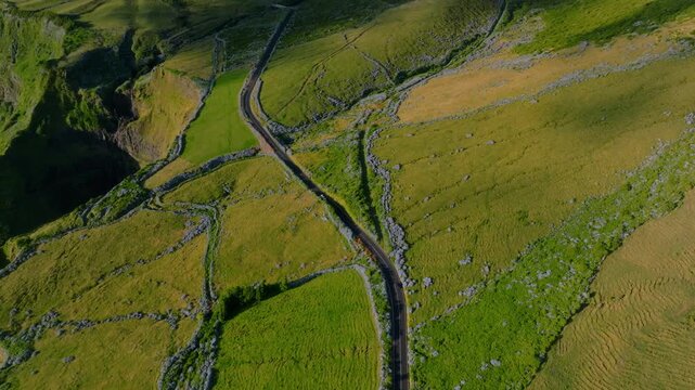 Aerial drone top-down tracking shot following a car driving along a road bordered by blue hydrangea hedges and green pastures on a cliffside, Flores Island, Azores