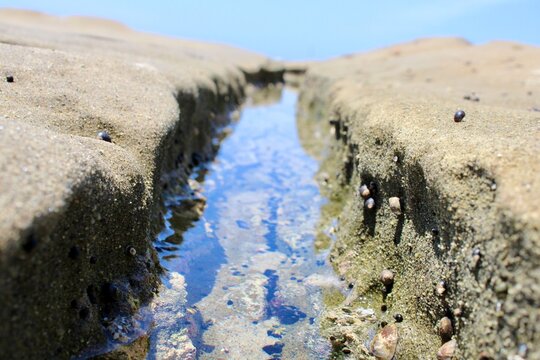 tidepool on the beach