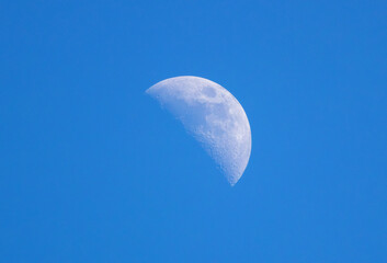 Daytime moon. Moon in the daylight. Moon during the day. White half moon visible in the daytime against a blue sky. © Oleh
