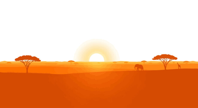 Acacia trees in savannah landscape scene.