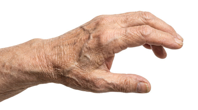 Elderly Woman's Hand with Visible Wrinkles and Natural Skin Texture