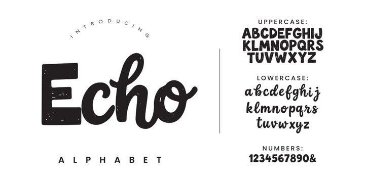 Echo hand drawn brush script alphabet font vector typography for rustic logo design