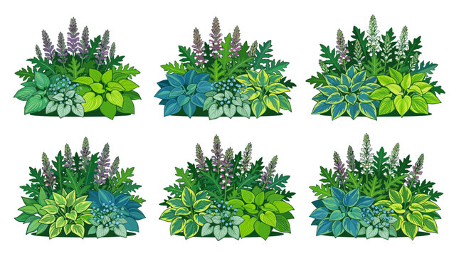 Diverse garden plant arrangements featuring hostas and flowering spikes in various color combinations for landscape design inspiration.