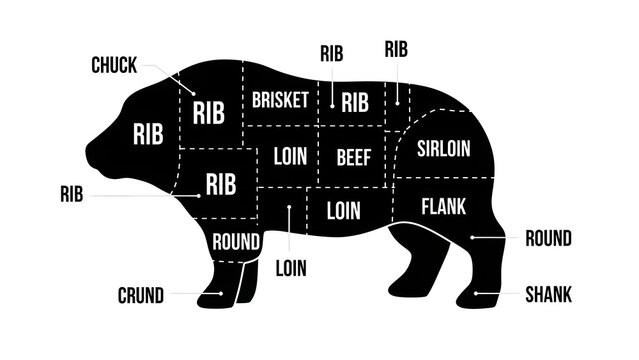 Diagram illustrating various cuts of meat from a bear, similar to traditional beef or pork butchering charts for culinary purposes.