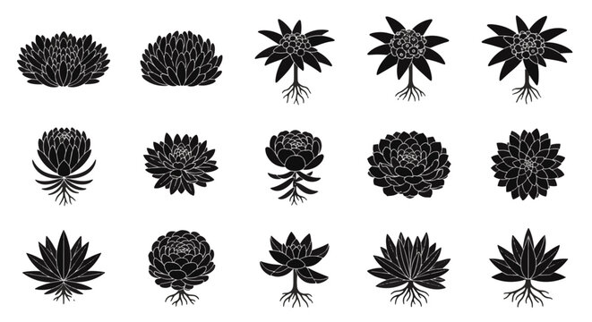 Collection of flat black alpine plant icons featuring diverse mountain flora including edelweiss, gentian, and saxifrage silhouettes isolated on a plain white background.