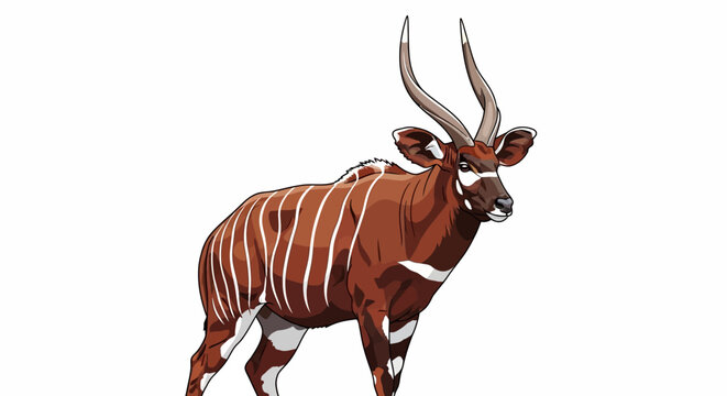 Bongo Antelope Portrait with Striking Stripes and Spiraling Horns