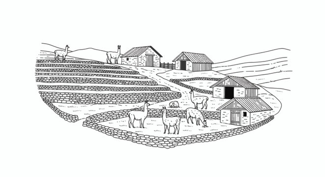 Detailed black and white line art illustration of Argentina map outline featuring national borders, geographic shape, and minimalist design elements for travel and education.