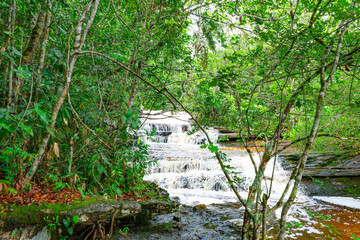 A serene waterfall cascades over rocks, surrounded by vibrant foliage and tropical plants in the Guaviare region of Colombia. © Jhampier Giron