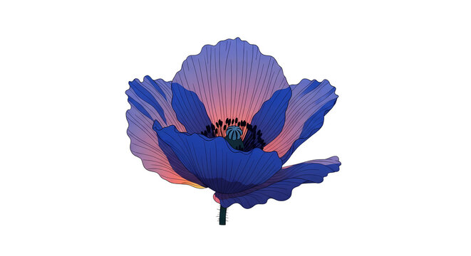 Close-up of a vibrant blue poppy flower with translucent petals and a warm glow against a clean white background.
