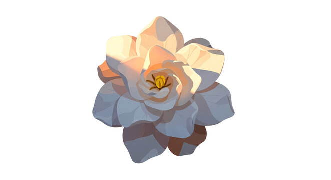 A beautifully rendered illustration of a white flower with soft light and shadow, featuring delicate petals and a warm yellow center.