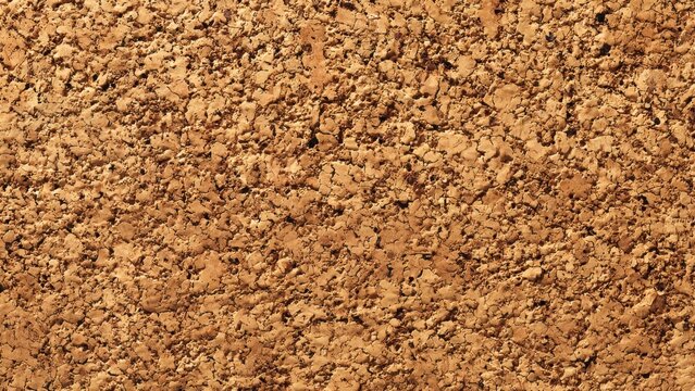 Cork Texture Background