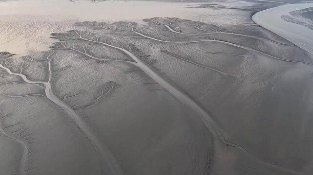 An aerial drone shot of the stunning natural tidal channels forming abstract tree shapes on the muddy texture of the Qiantang River estuary in Zhejiang China.